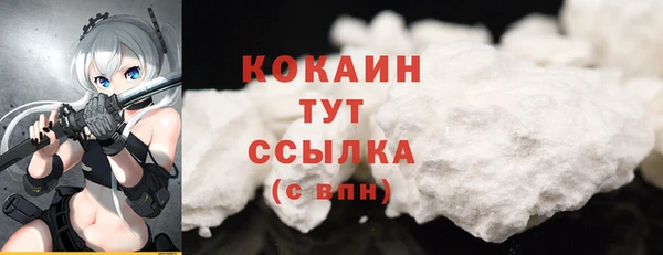 spice Аркадак