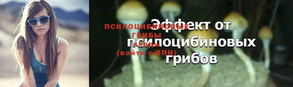 spice Аркадак