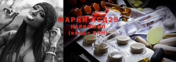 spice Аркадак